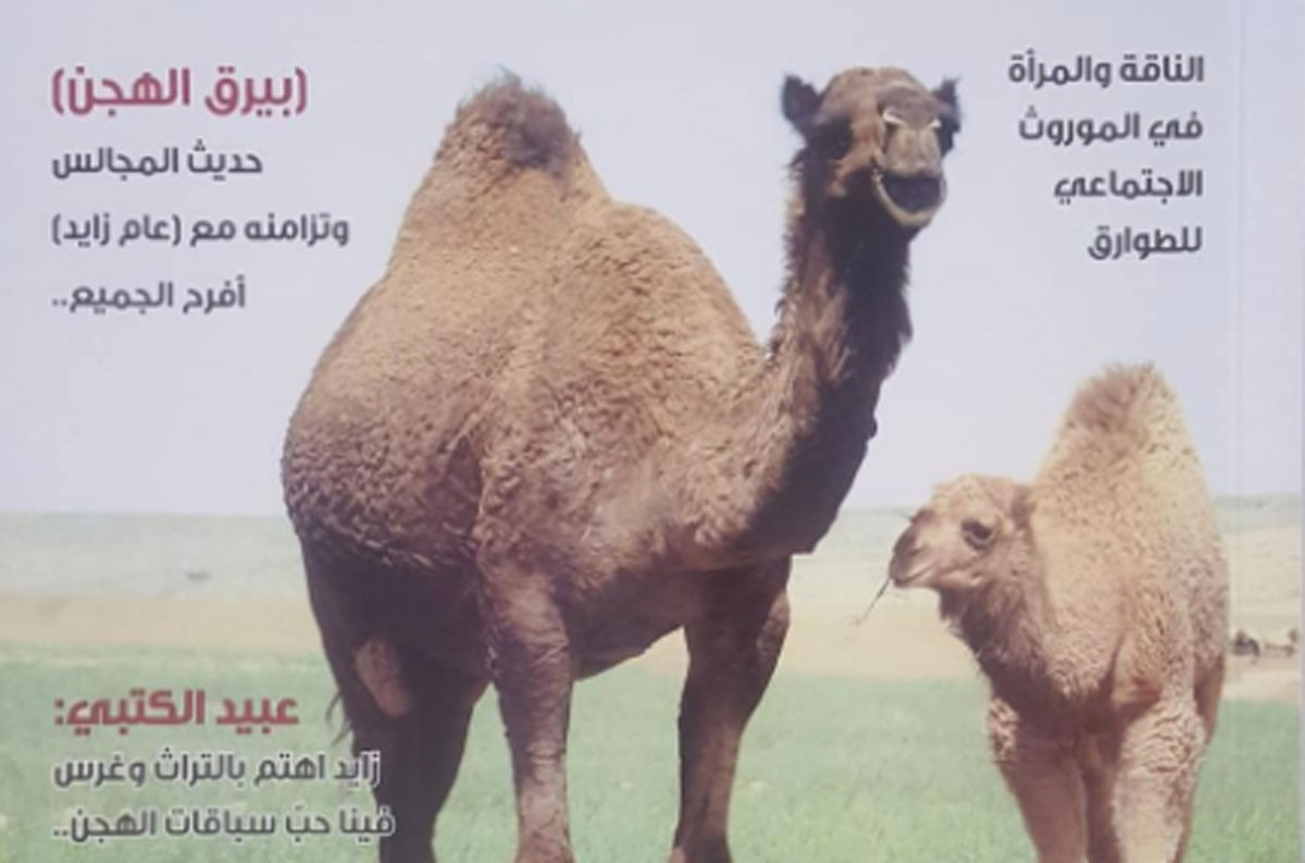 أدب الإبل