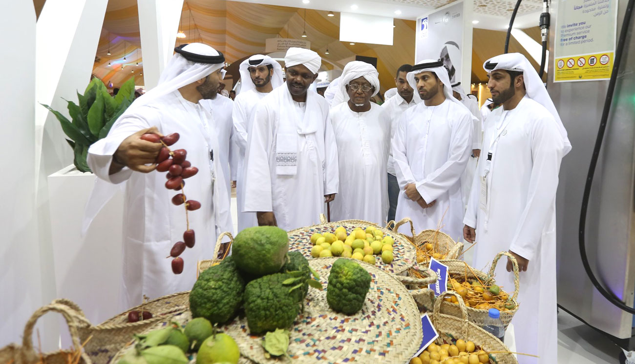 بلدية العين ترسخ الوعي البيئي لدى جمهور المهرجان