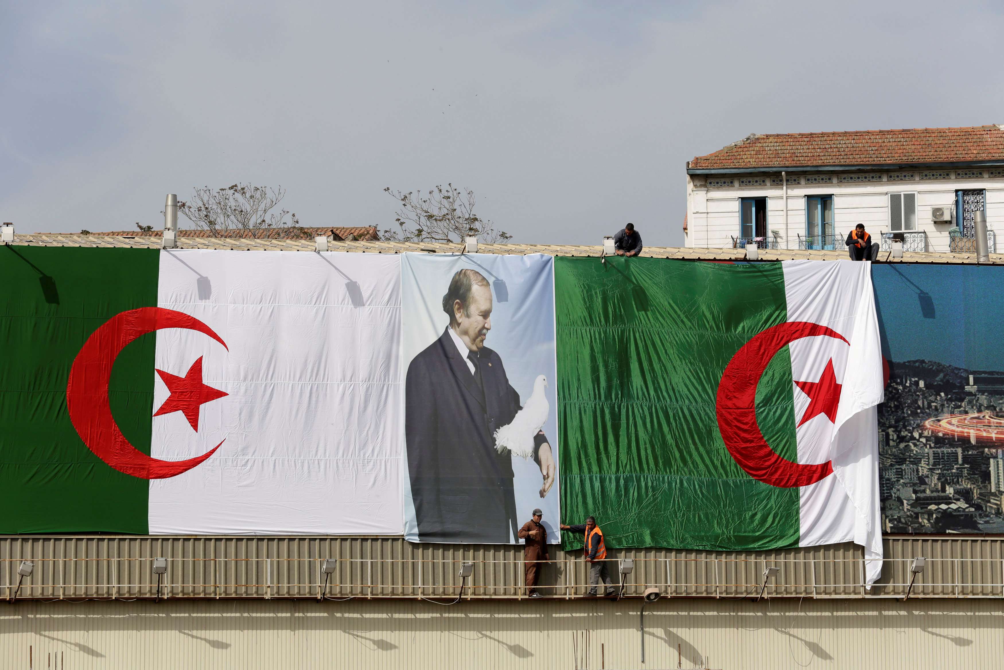 علم الجزائر