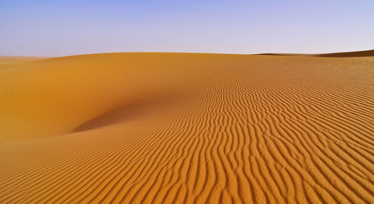 أكثر من النفط