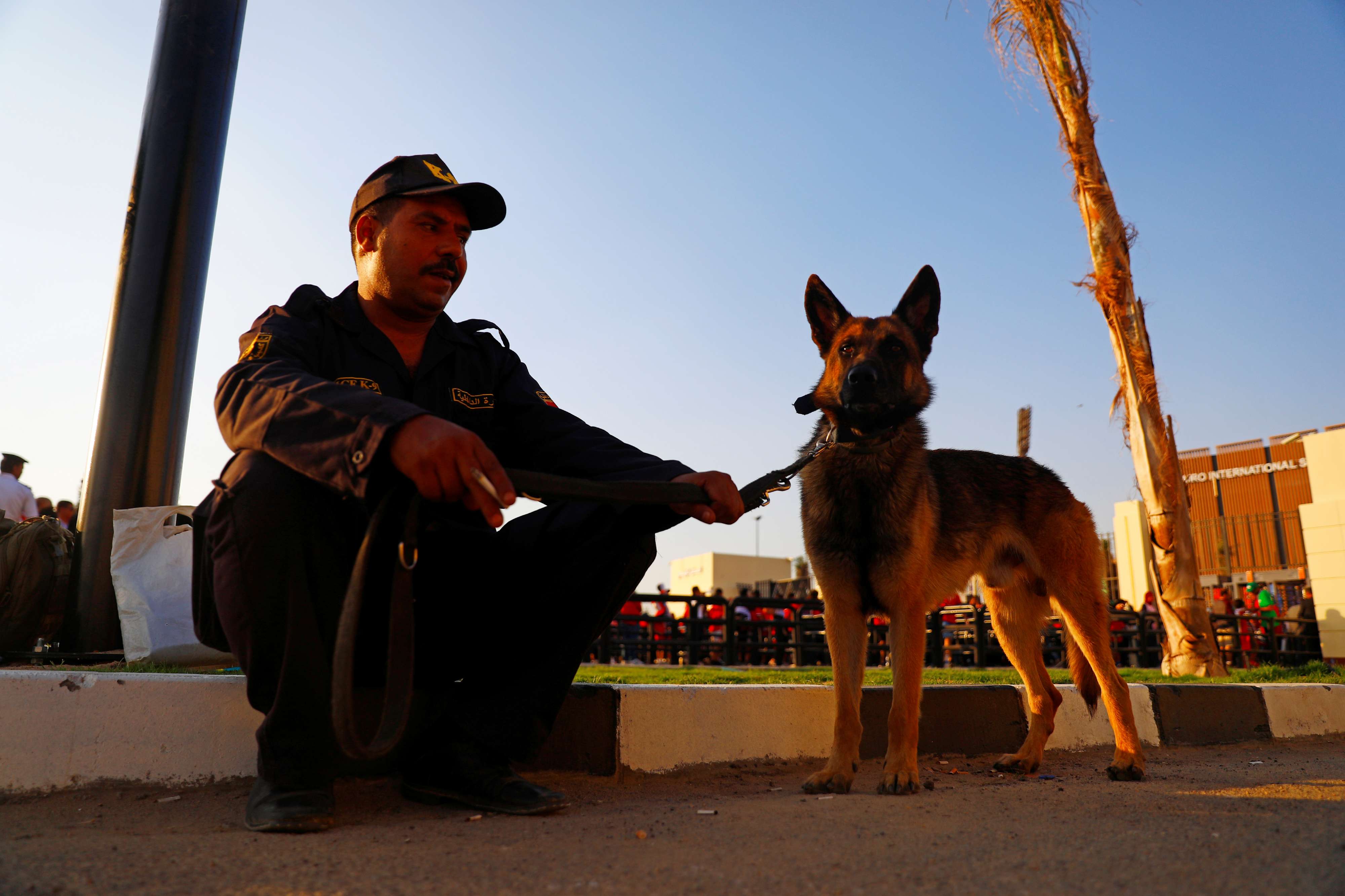 A total of 250 million Egyptian pounds ($15 million) was seized in the raids