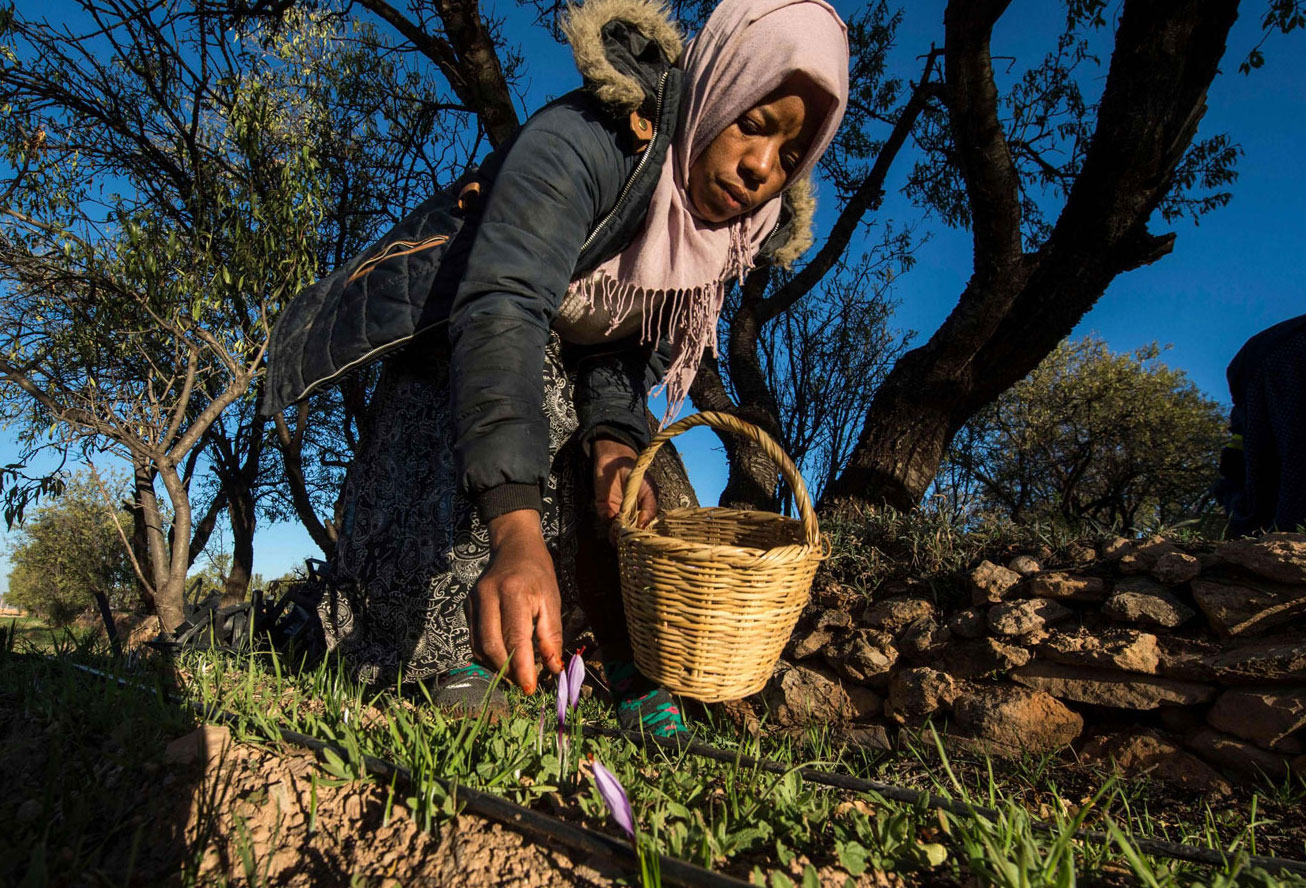 فلاحة من المغرب