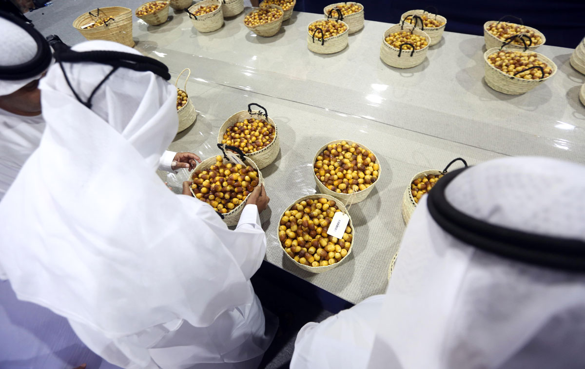 المهرجان ينطلق بفعاليات متنوعة 