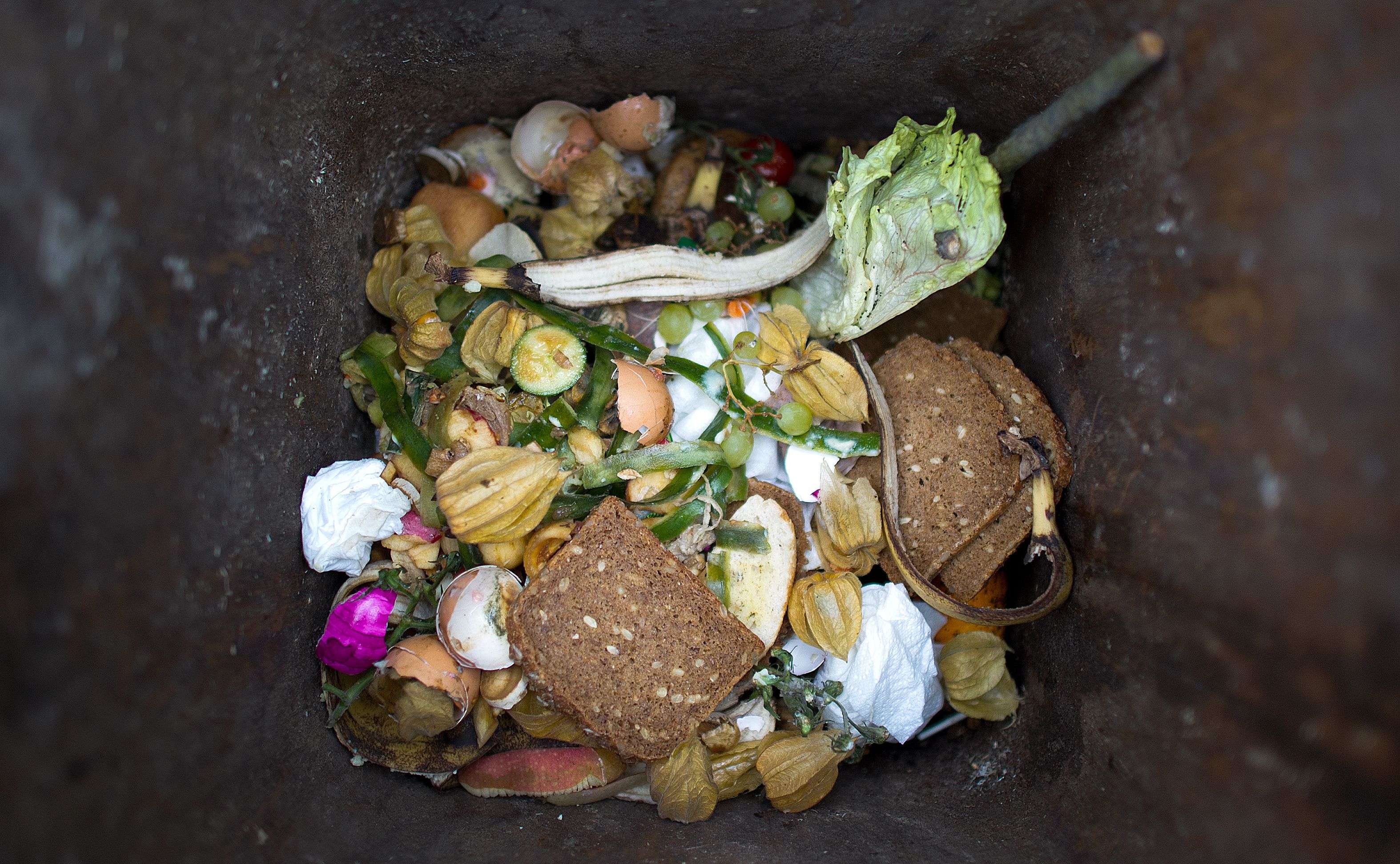  الهدر الغذائي