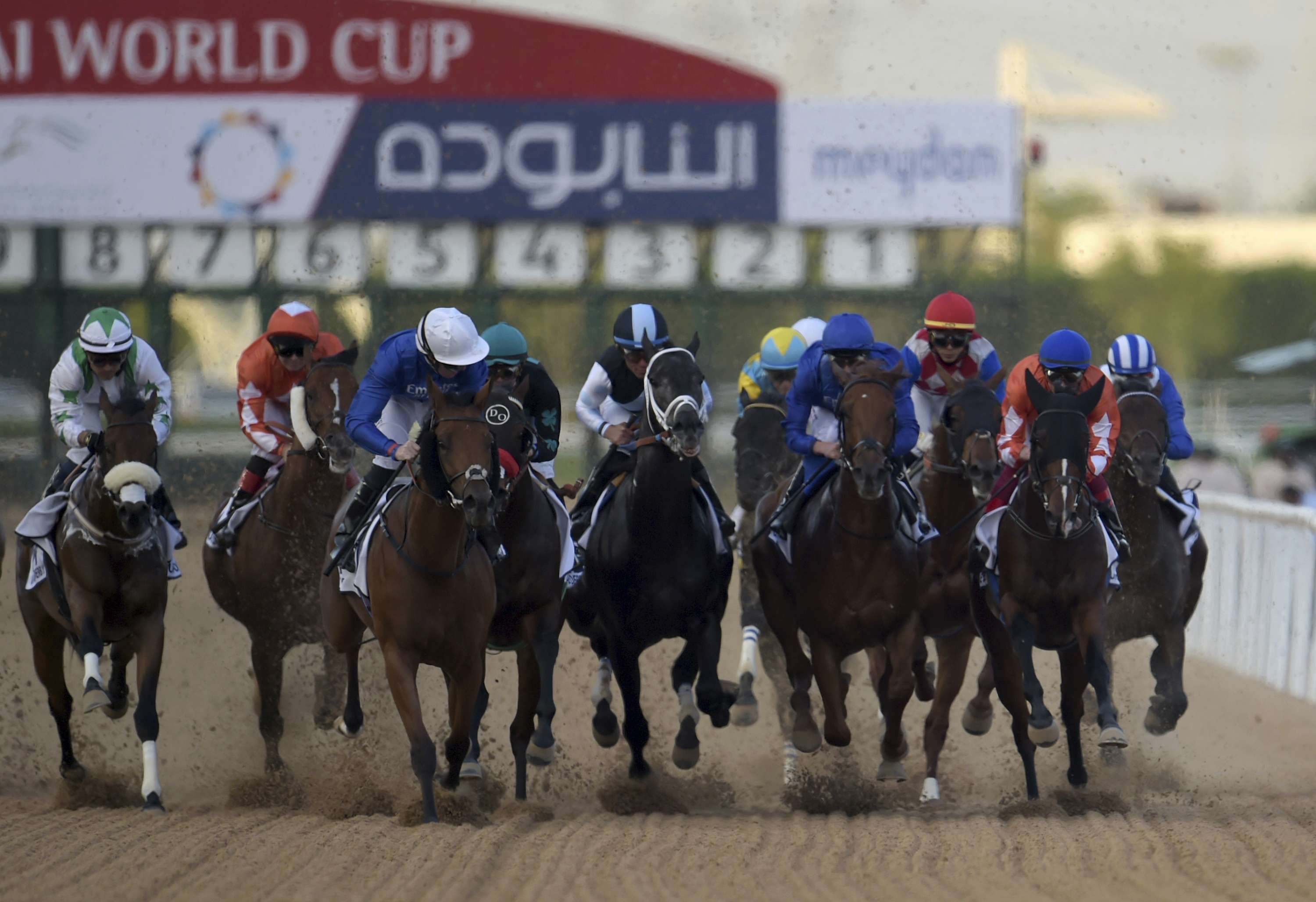 سباقات الخيول