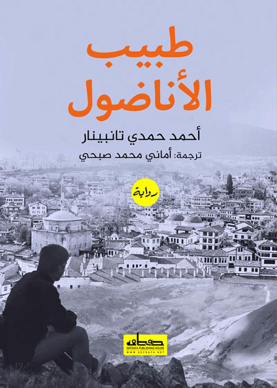 Turkish novel
