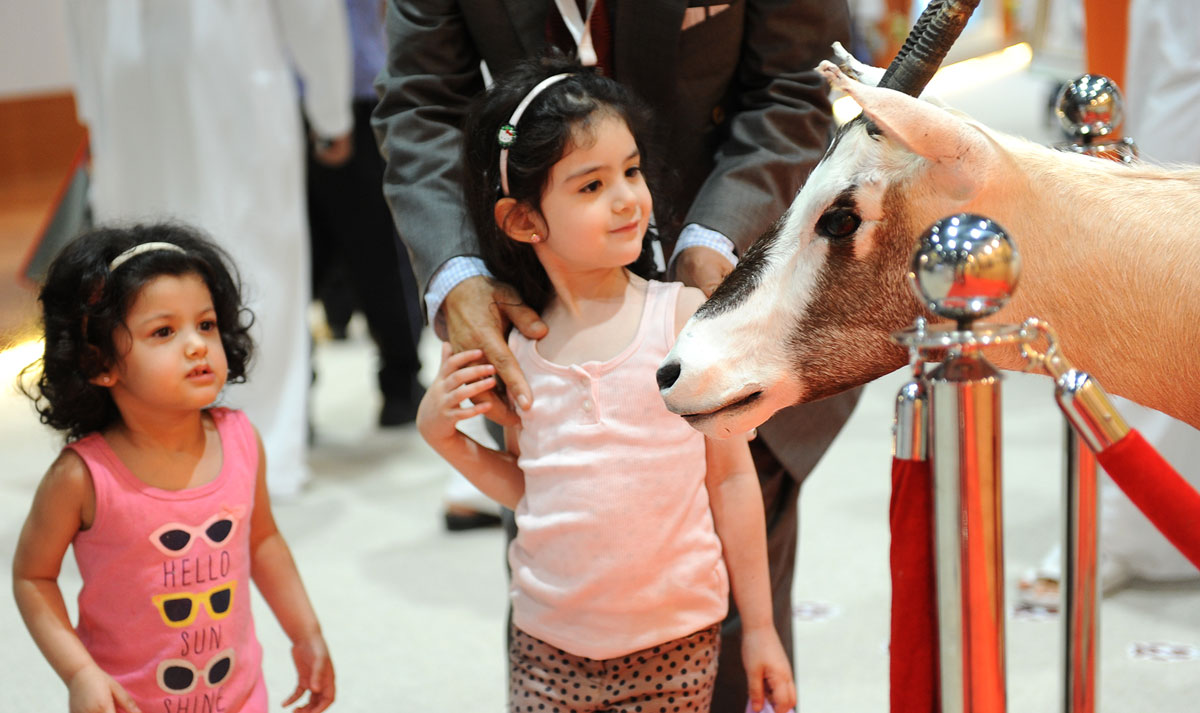 النسخة 17