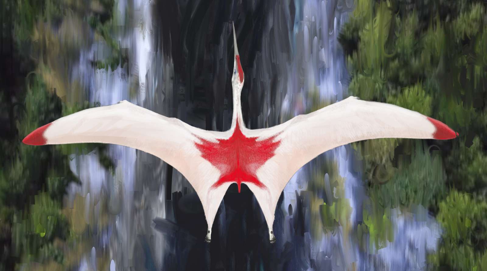 'كريودراكون بورياس'
