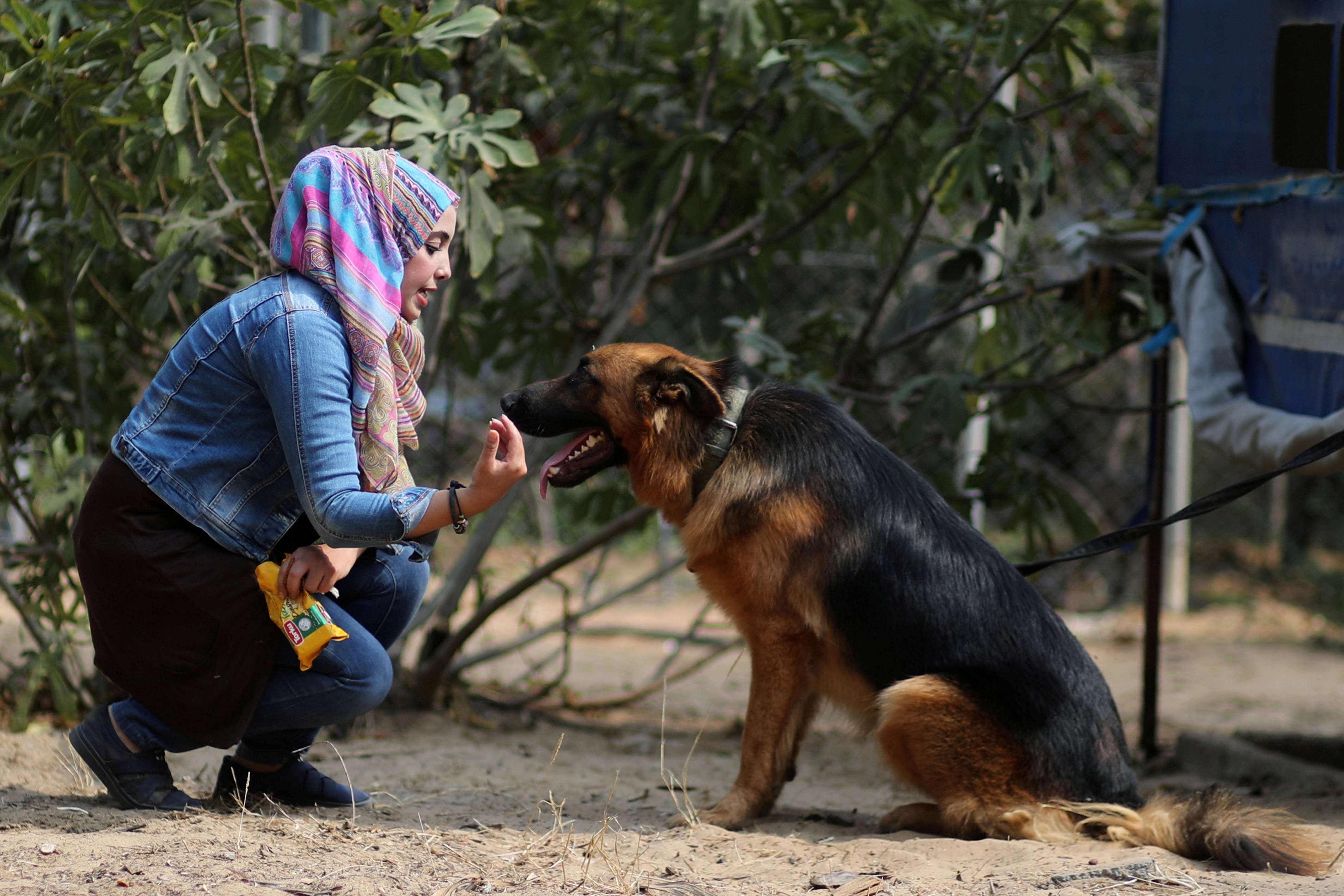 Palestinian woman Talya Thabet teaches a dog obedience commands in the central Gaza Strip