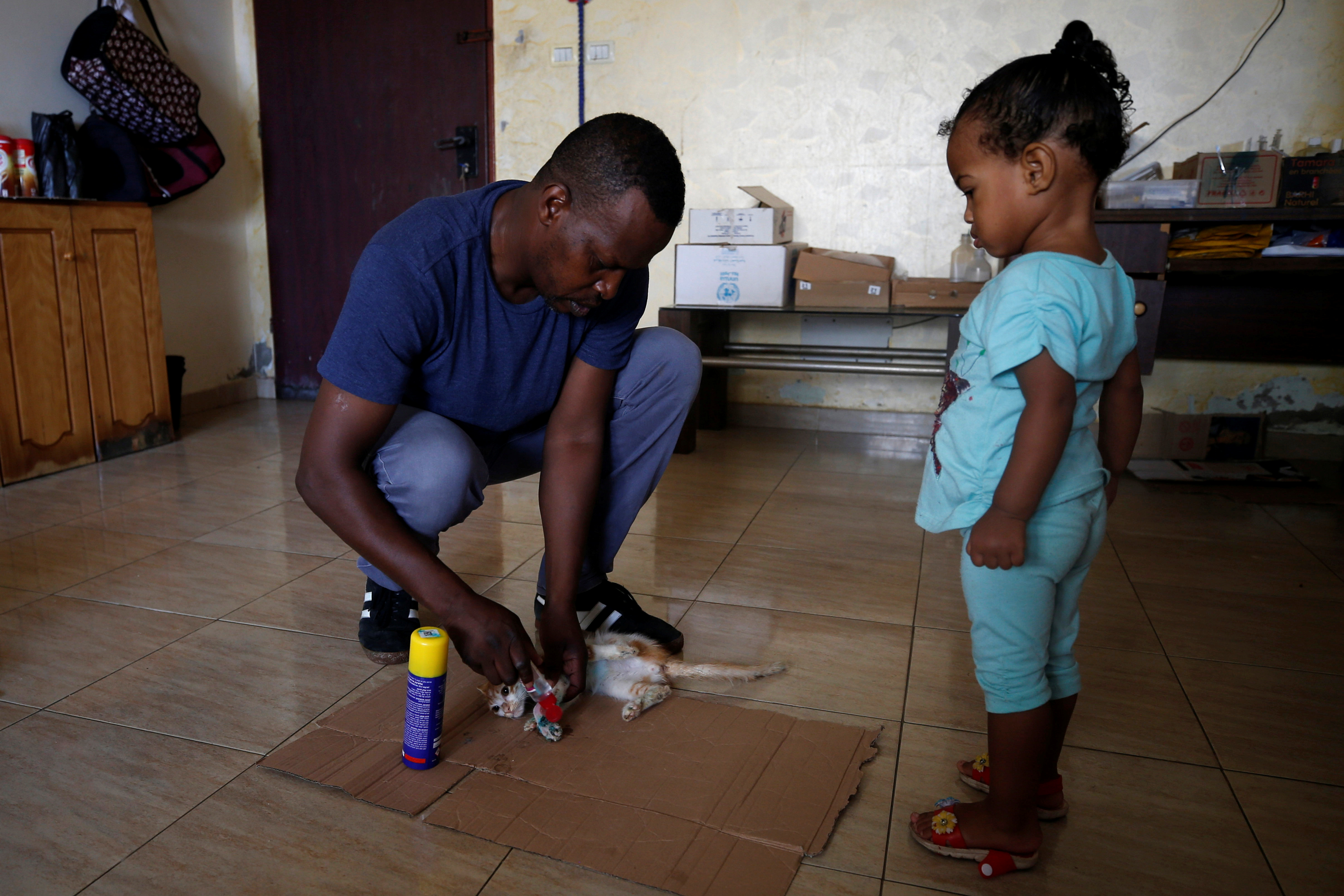 Palestinian man Saeed el-Aer treats a kitten inside his house in the central Gaza Strip