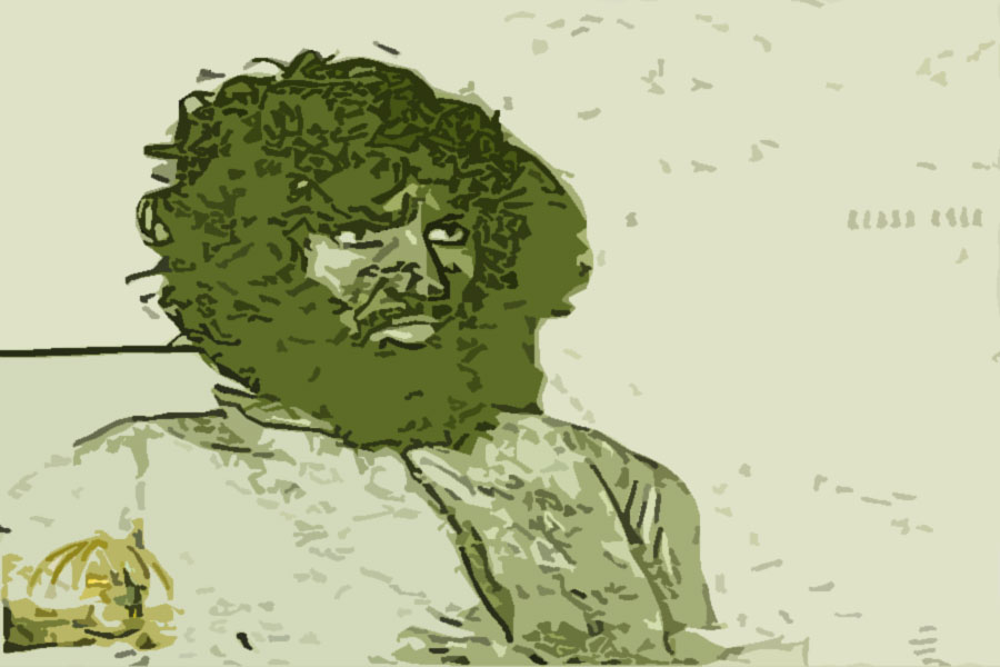 بعد أن نضج المناخ تقدم الإسلاميون الأكثر عنفا والأكثر تنظيما ليستولوا على الشارع