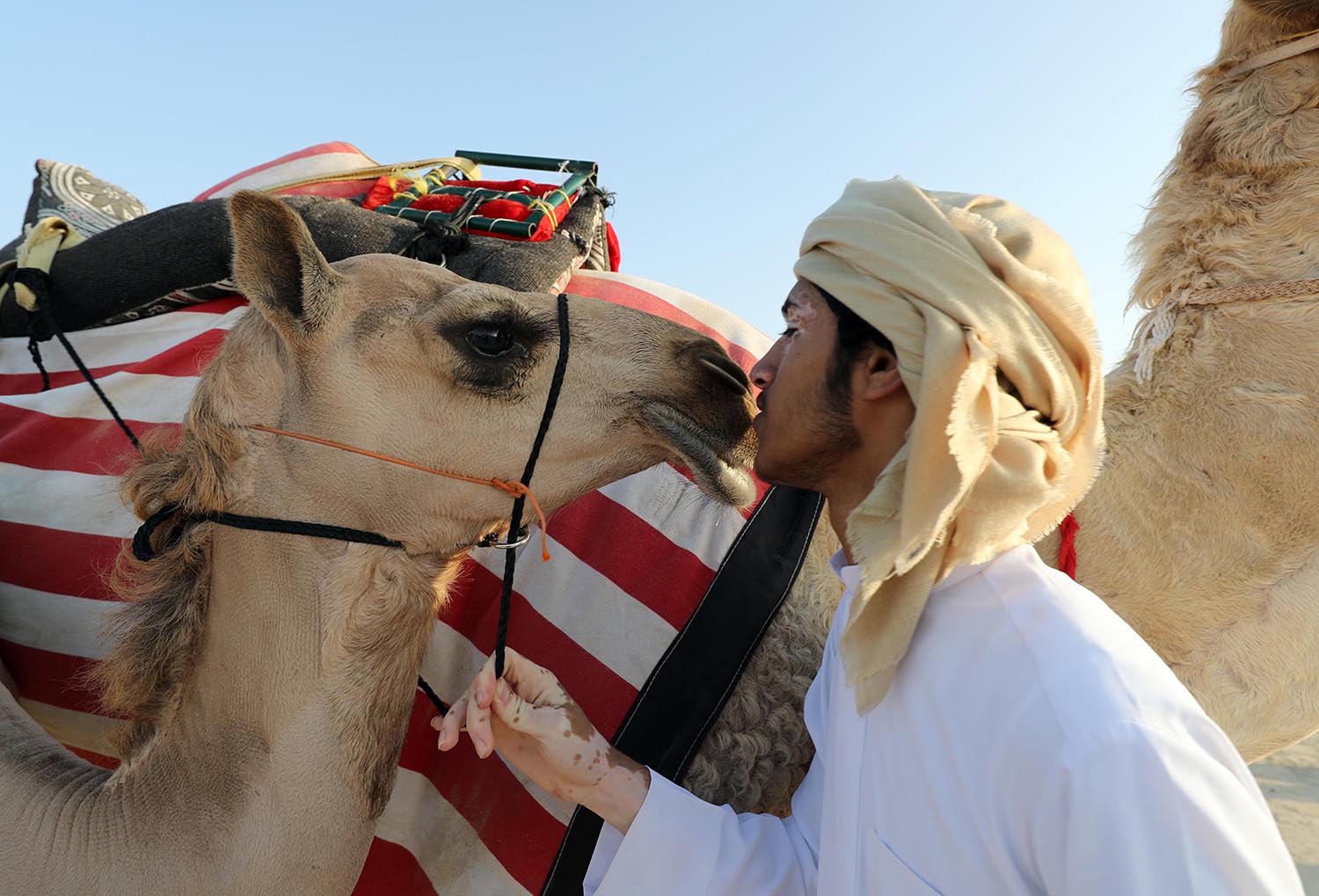 Al Dhafra festival 