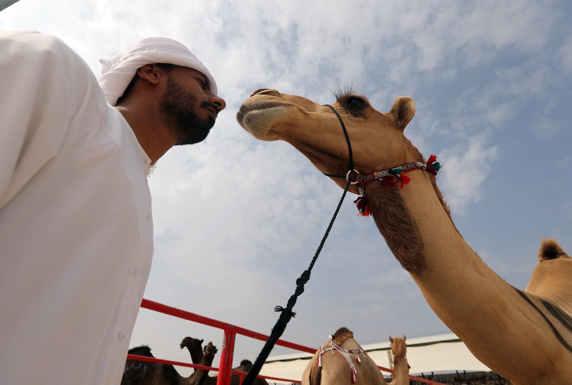 مهرجان الظفرة 