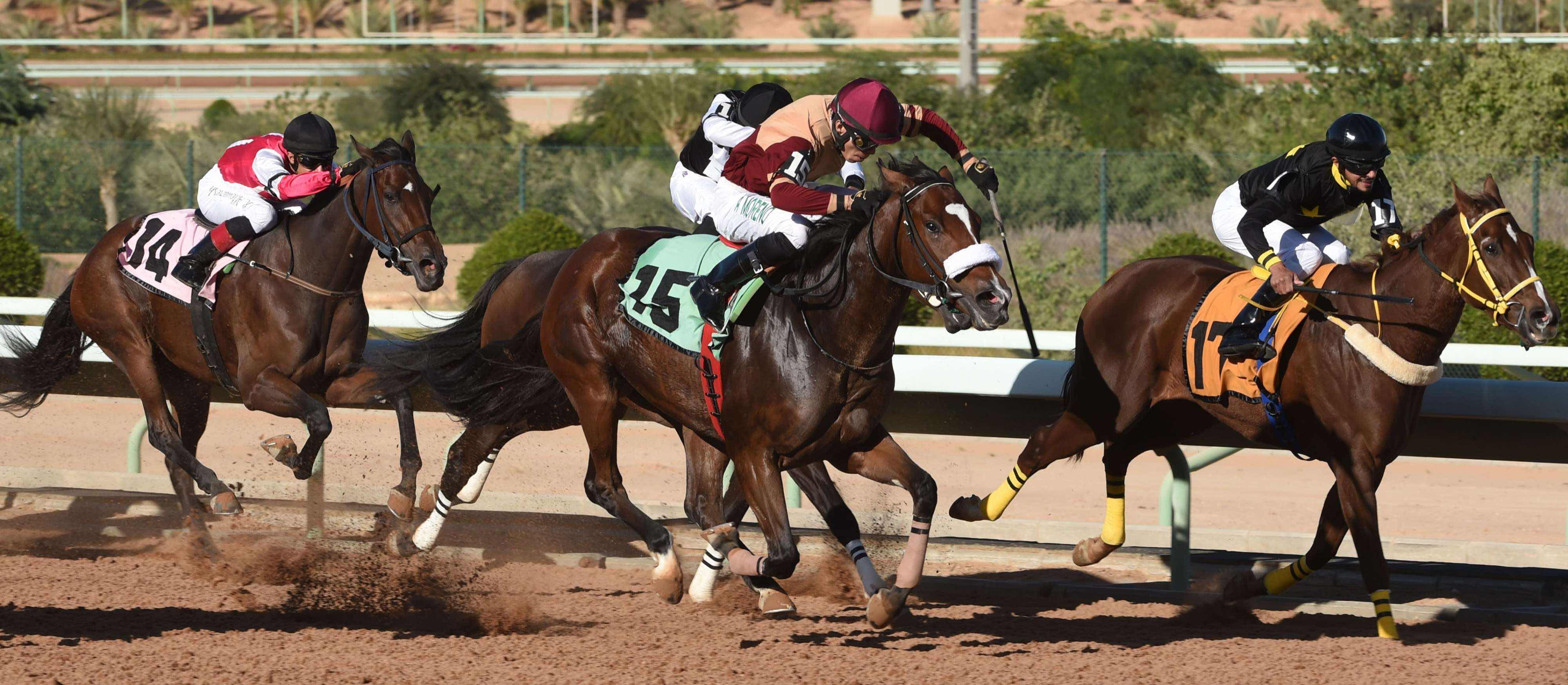 The Saudi Cup, expected to attract about 10,000 spectators, takes place at the King Abdulaziz Racetrack on February 29