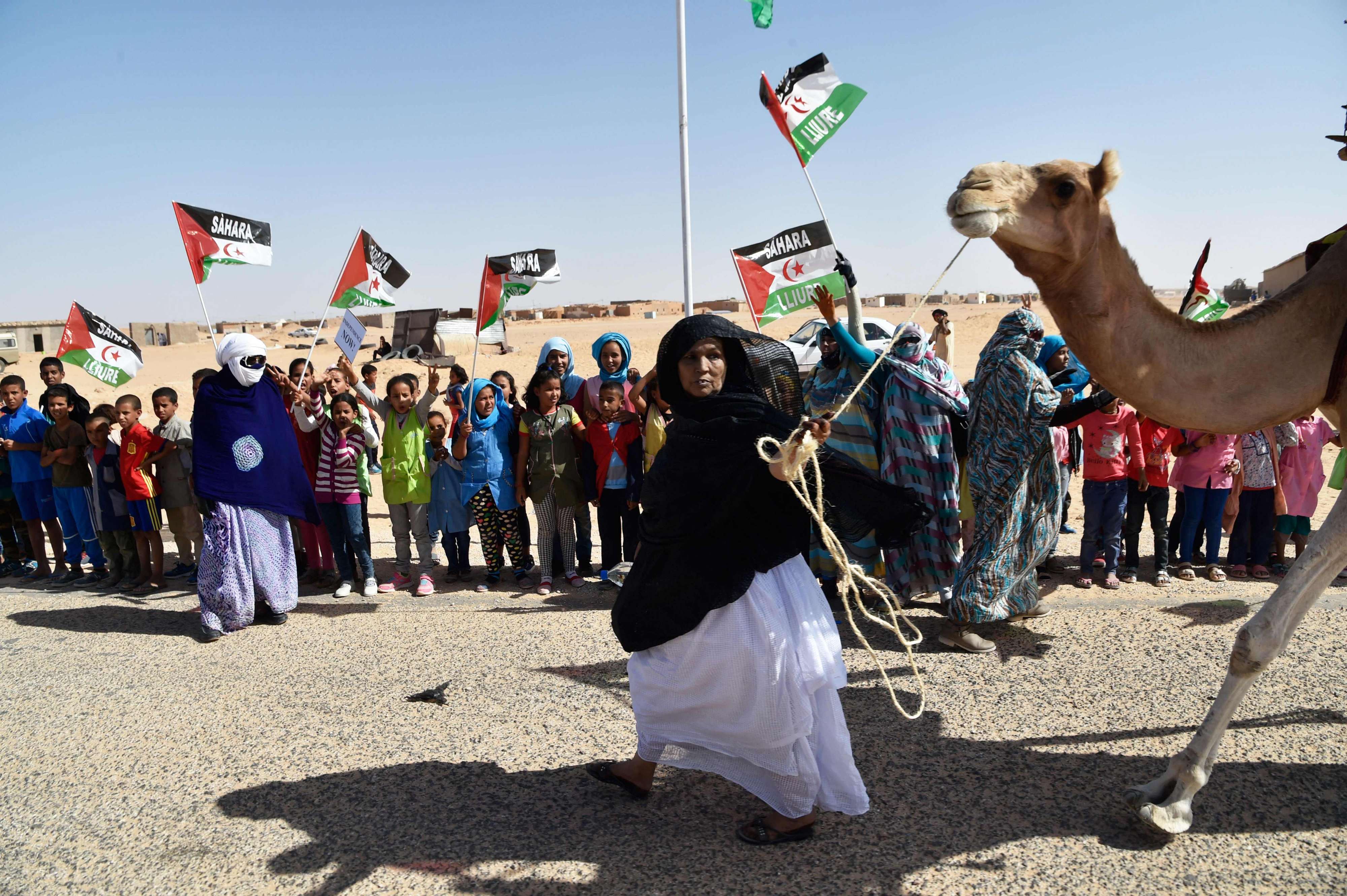 لا مجال لحرية الرأي والتعبير في مخيمات تندوف في حضرة البوليساريو