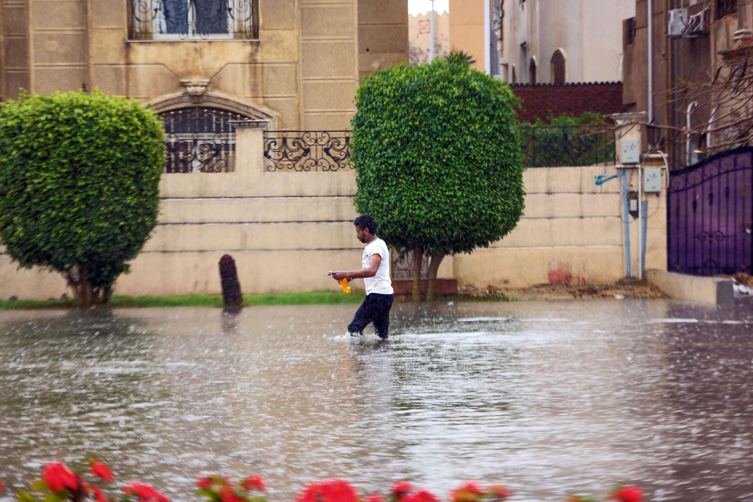 امطار  في مصر