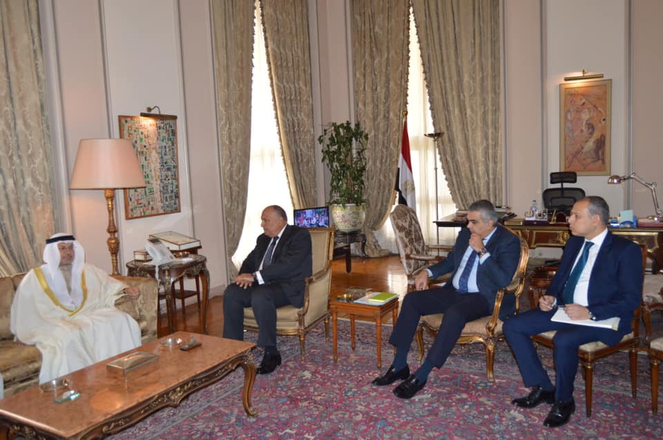 لقاء وزير الخارجية المصري سامح شكري مع وزير الدولة للشئون الخارجية الإماراتي الدكتور أنور قرقاش 