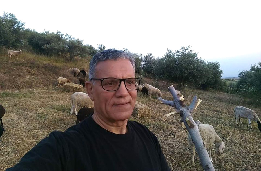 تنويع تشكيلي