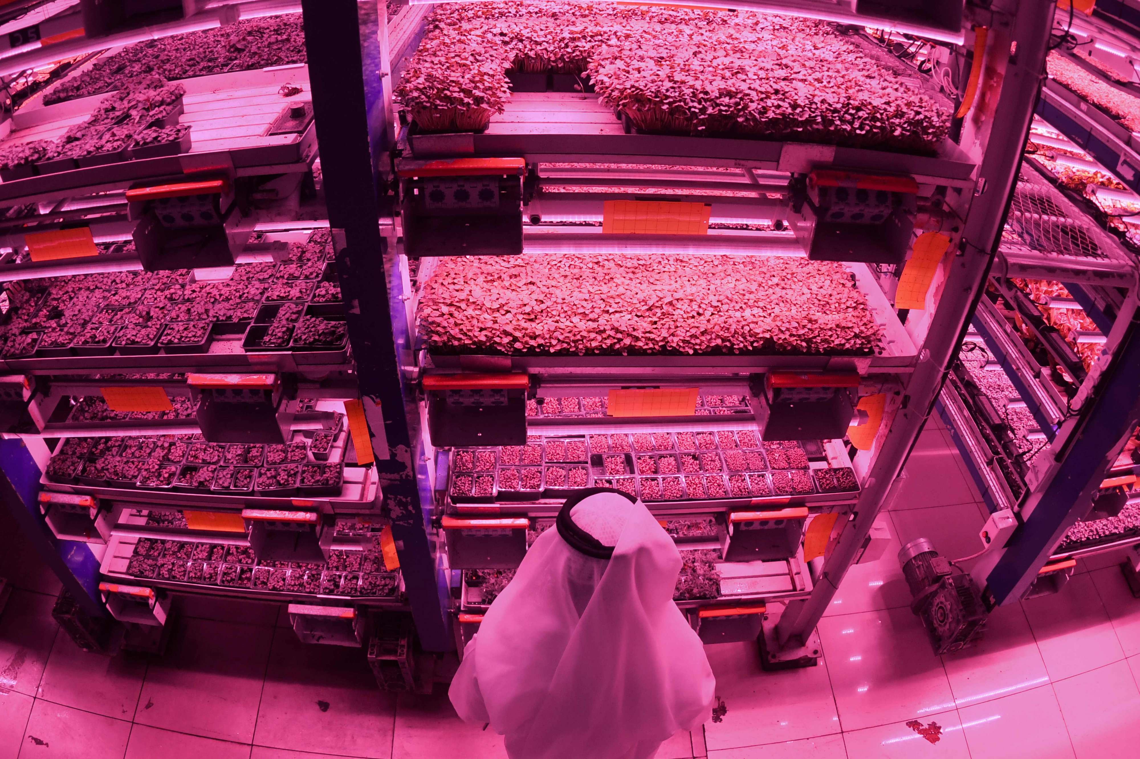 الامارات احدثت ثورة في الصناعة الزراعية وفي المجال التكنولوجي وترغب في مزيد من التطوير