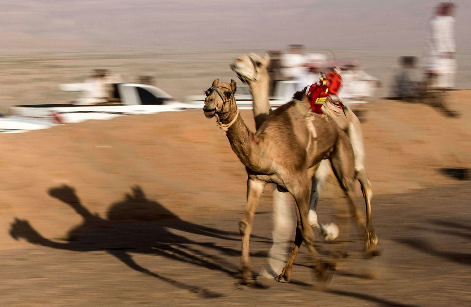 سباق