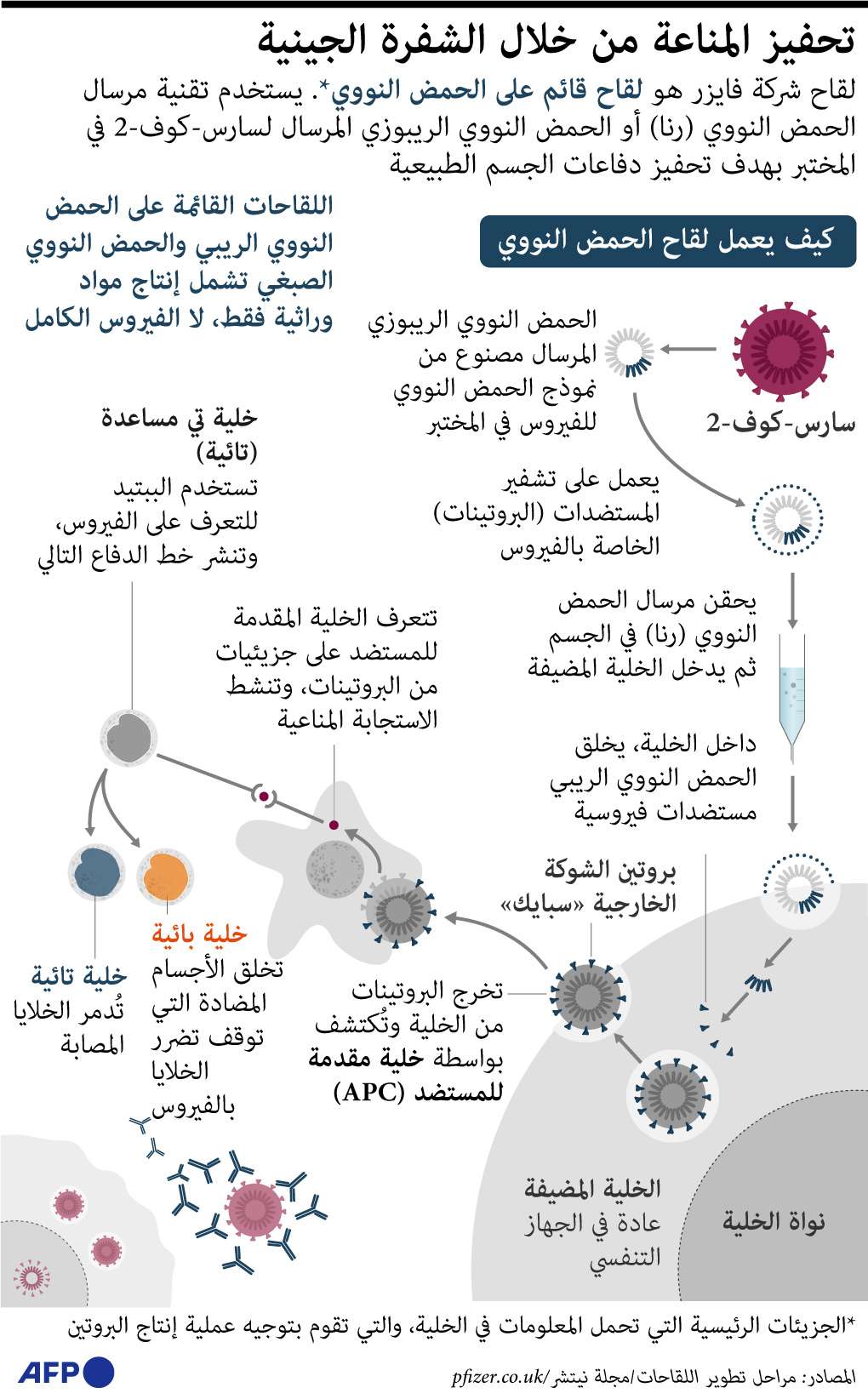 لقاح كورونا