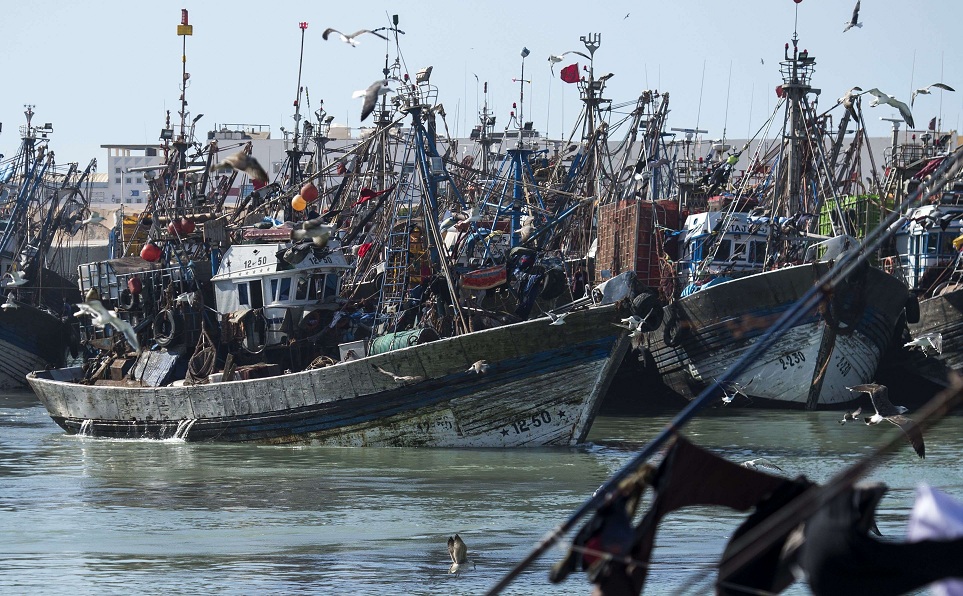 مشاريع ضخمة تعد بتنقلة نوعية في الصحراء المغربية