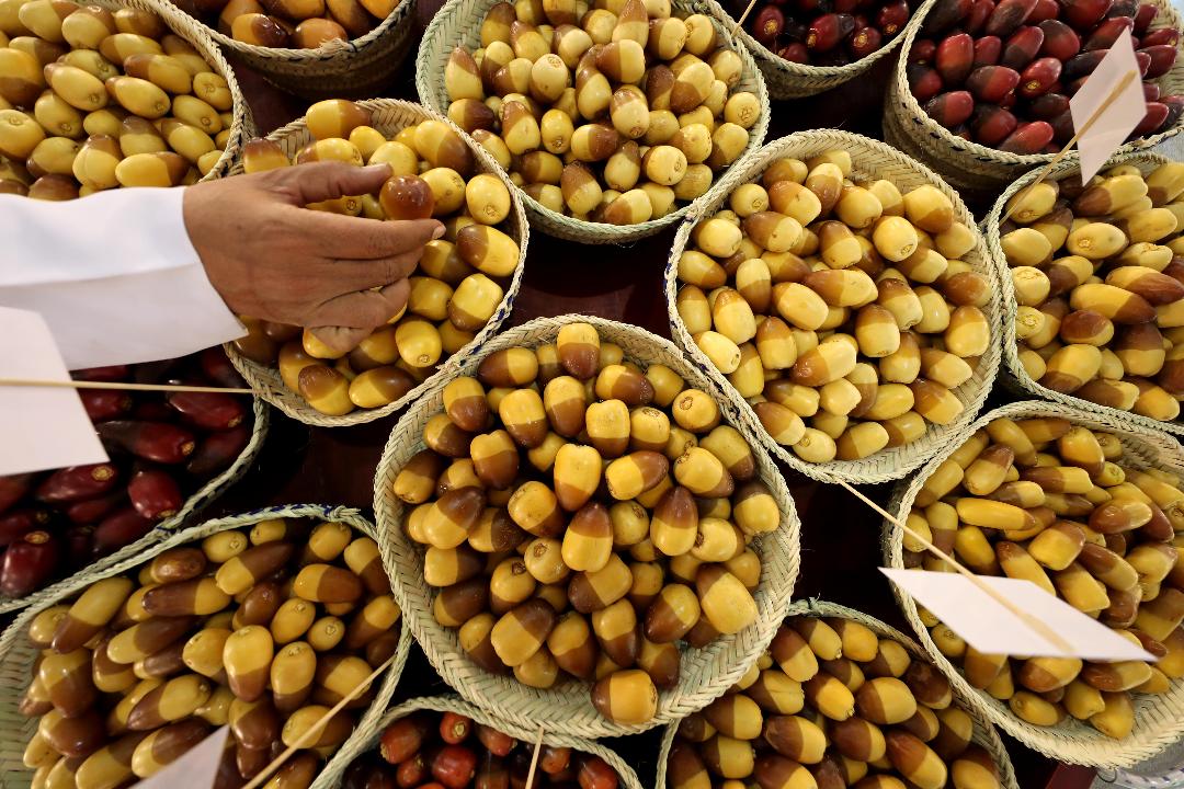 مهرجان ليوا للرطب 