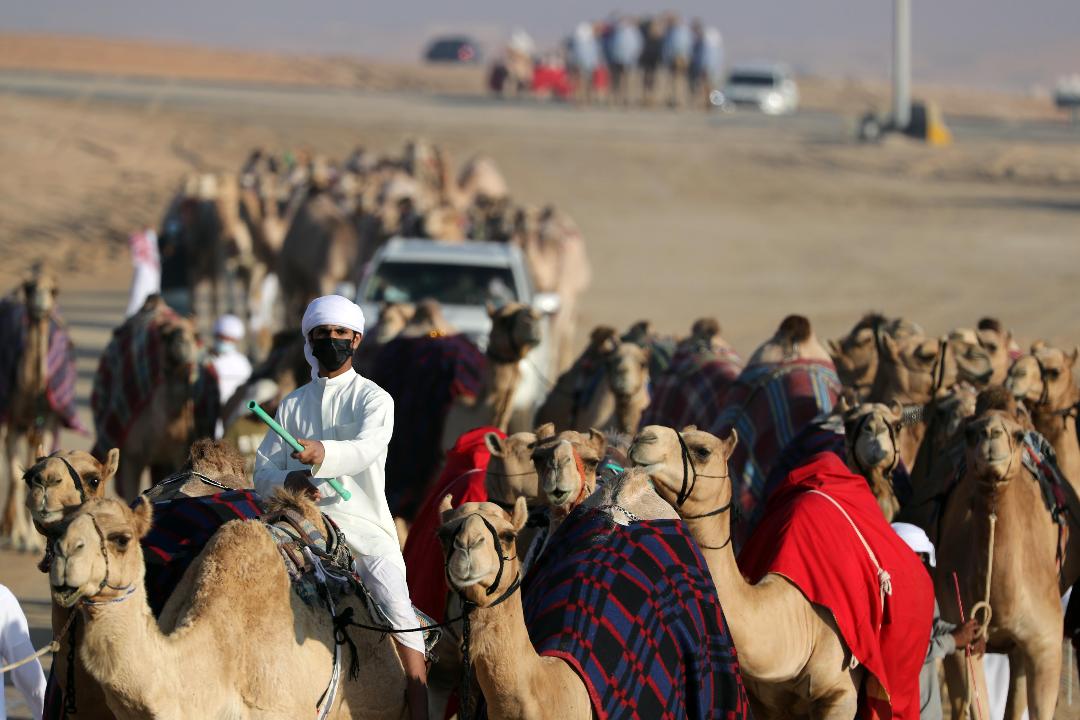 مهرجان الظفرة 
