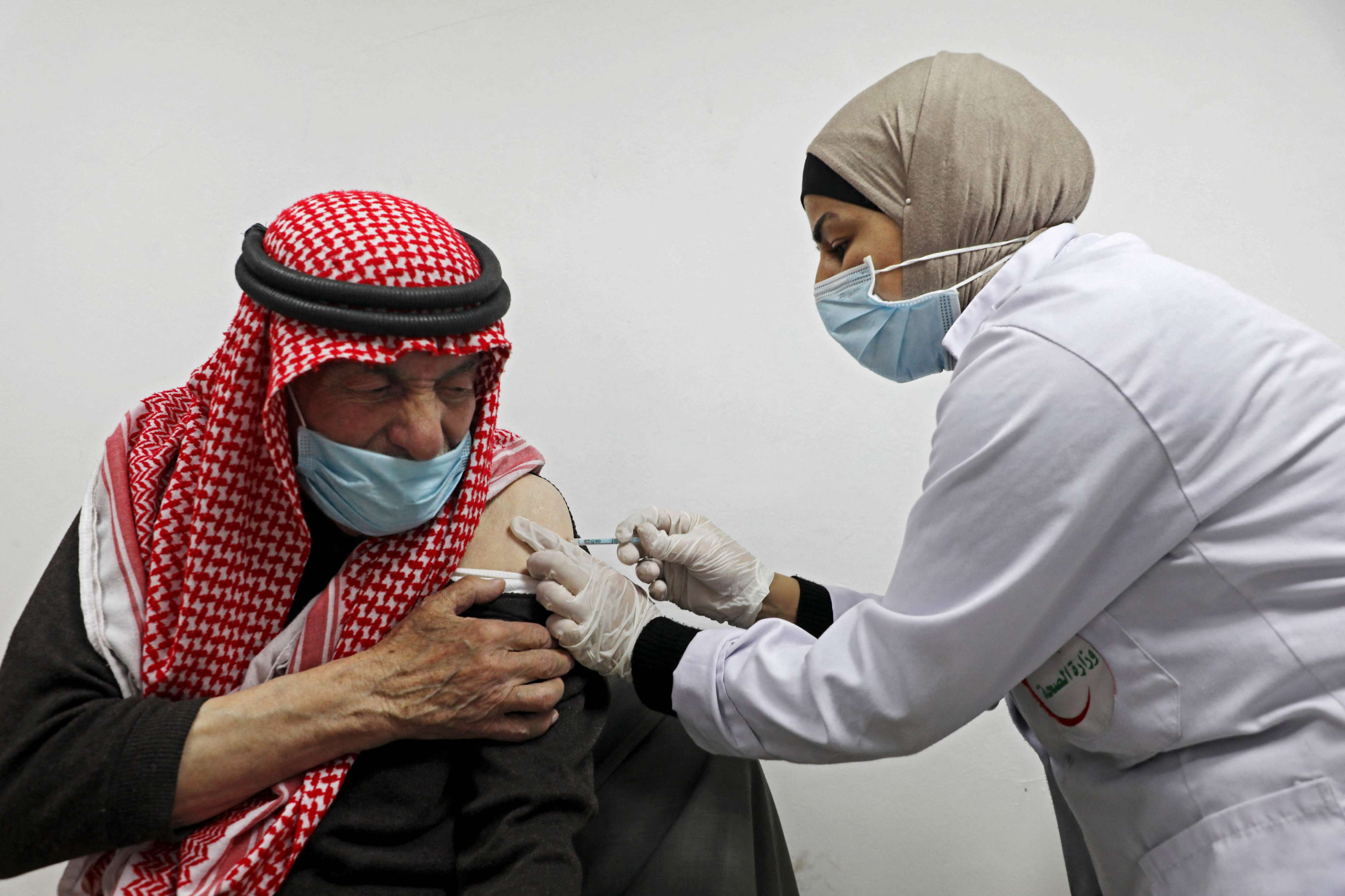 التلقيح في فلسطين