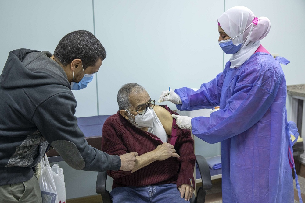 التلقيح في مصر