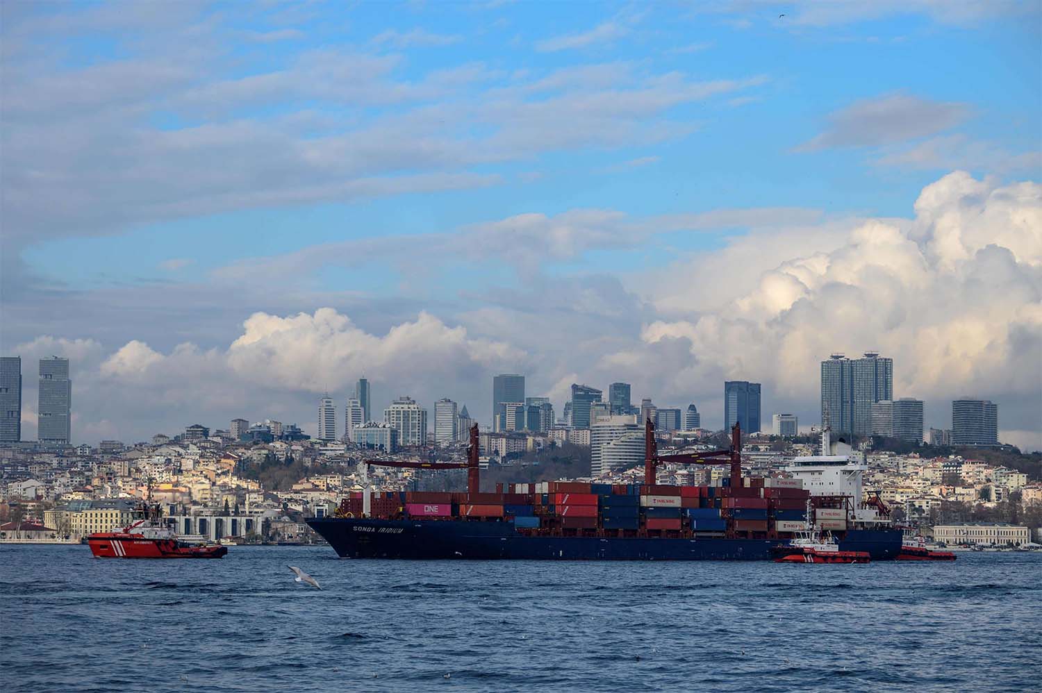 Istanbul's mayor, engineers and most citizens oppose the project on environmental grounds