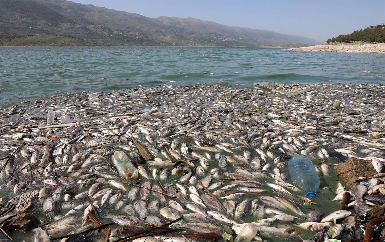 Qaraoun Lake