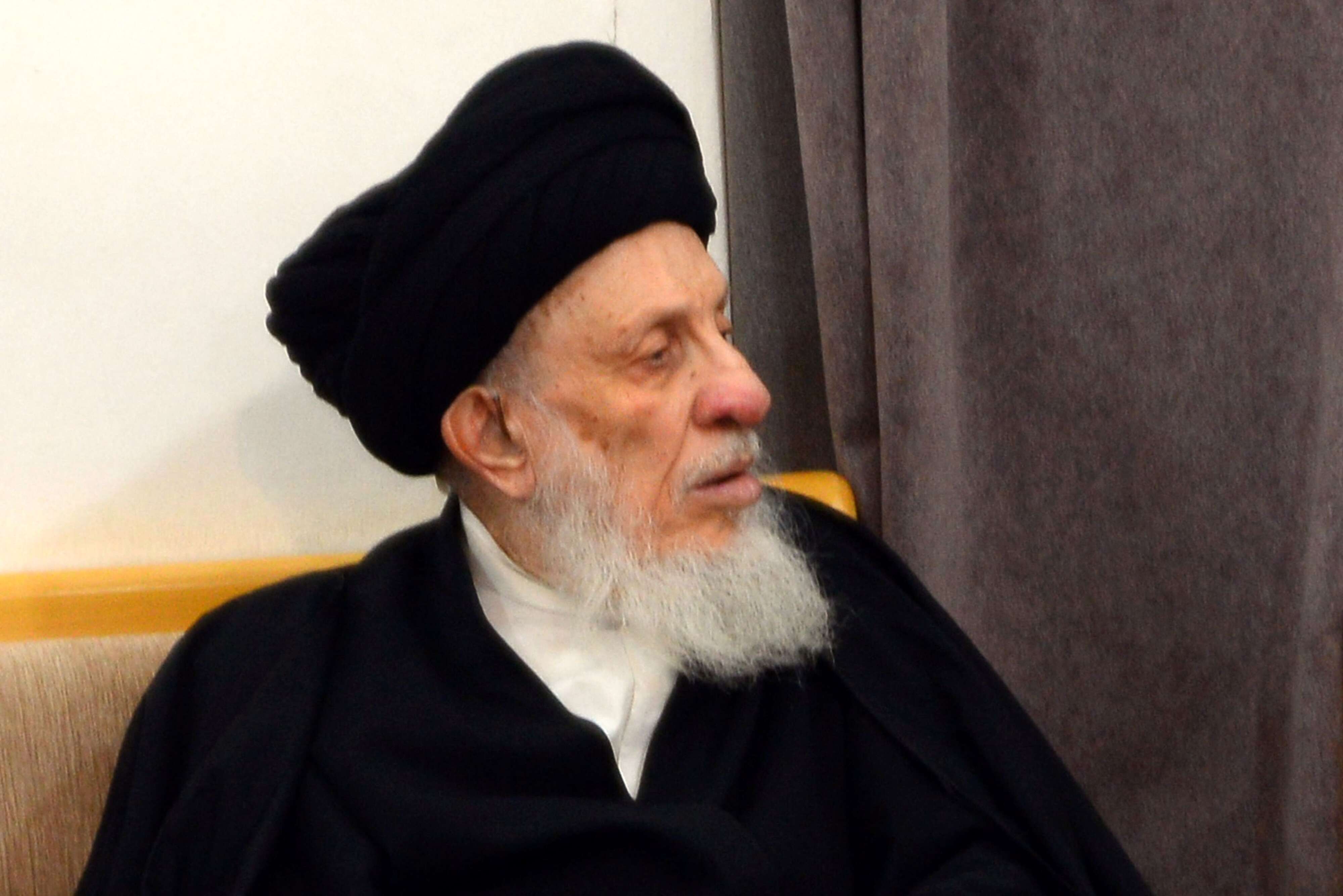 محمد سعيد الحكيم التزم بمبادئ المدرسة الفقهية الشيعية العراقية التي تناهض ولاية الفقيه