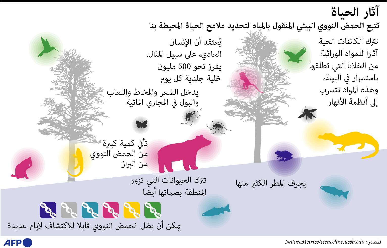 الحمض النووي البيئي 