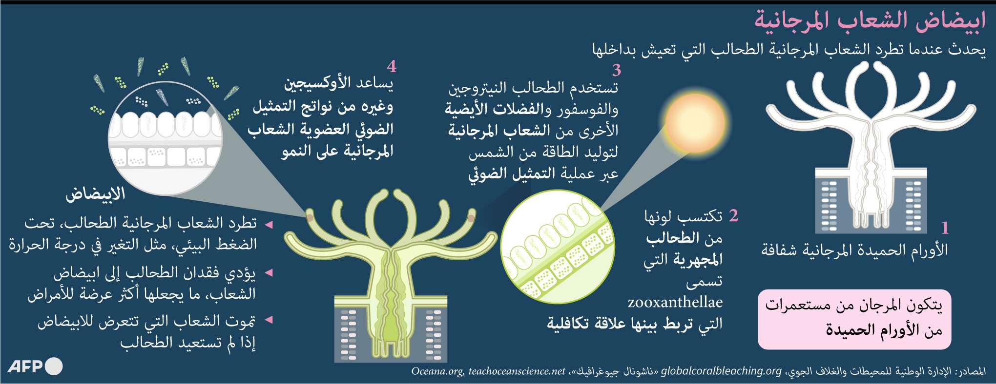 الشعب المرجانية
