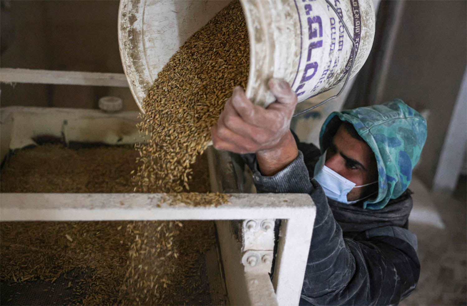 Wheat prices have jumped by around 20%