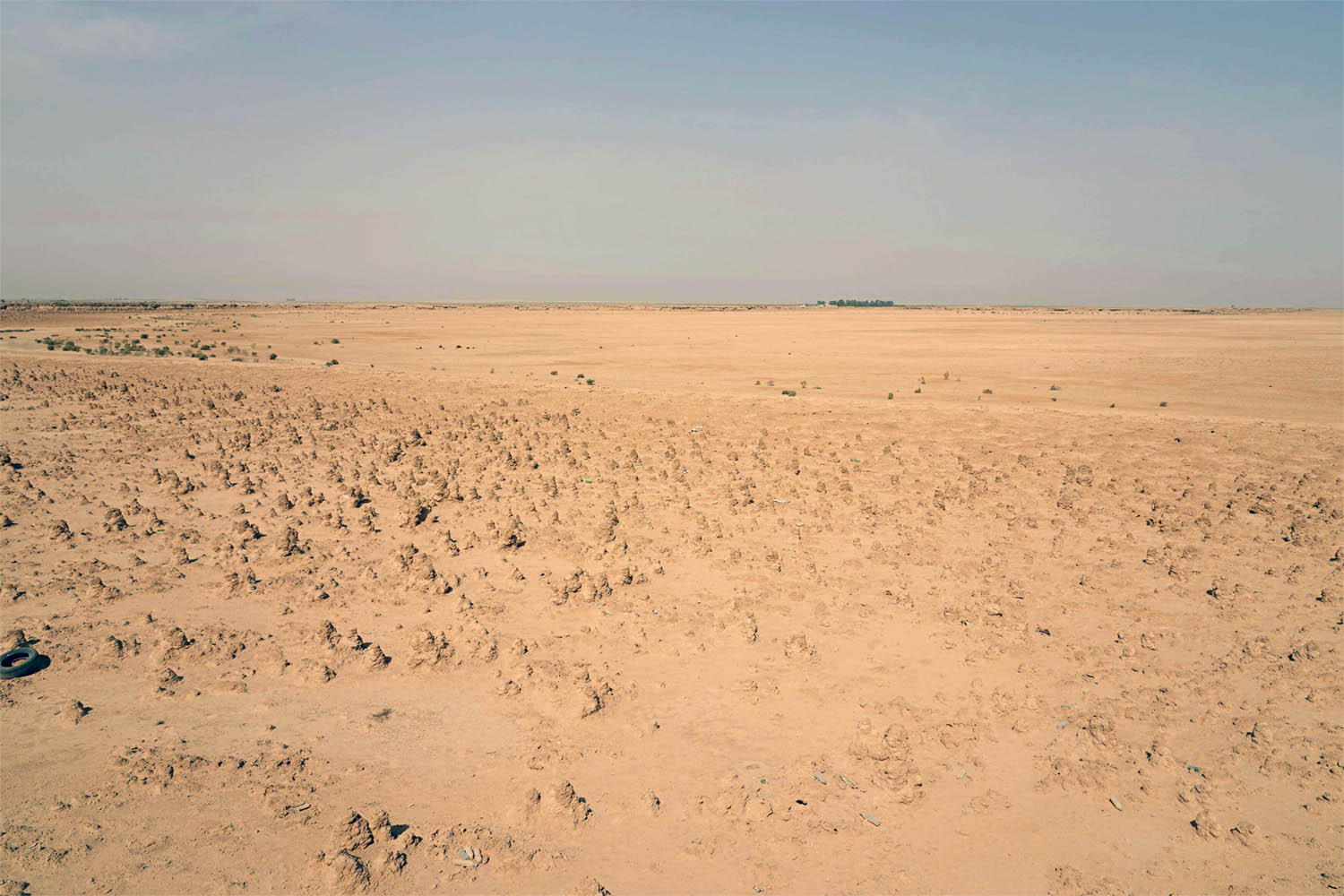 The drought has disrupted a delicate and interdependent ecosystem sustained by the rare desert oasis