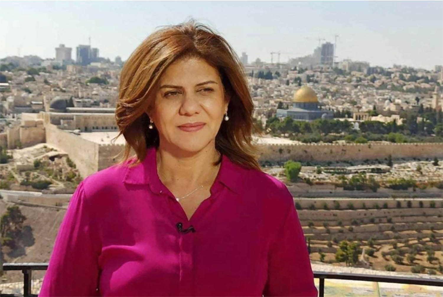 One single bullet hit Abu Akleh in the head and killed her instantly