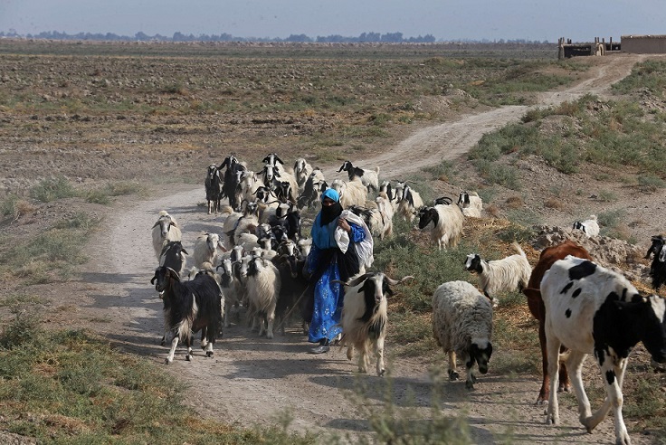 العراق