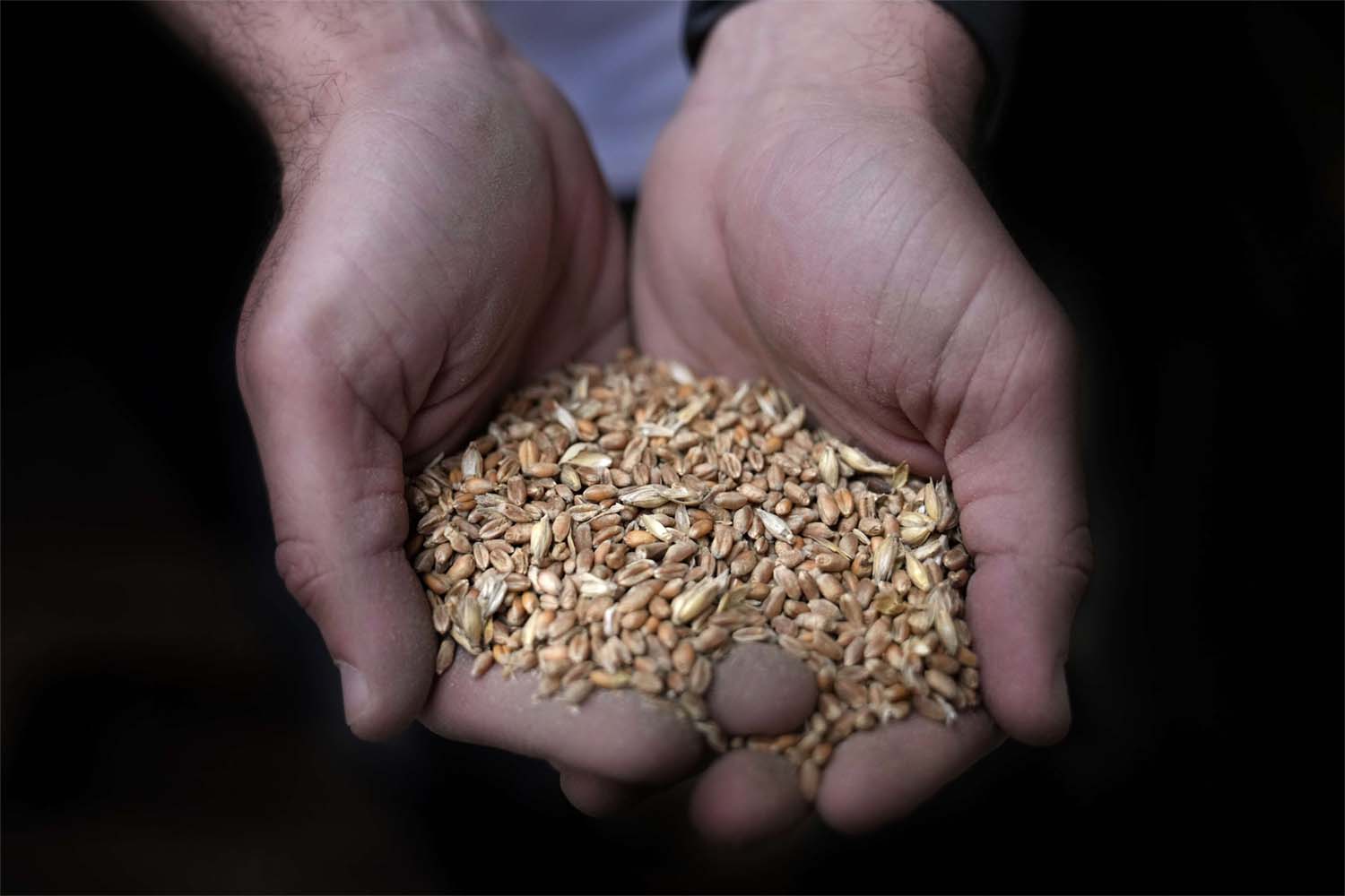 Food prices surged after Russia's invasion of Ukraine last year on fears of disruptions to Black Sea trade