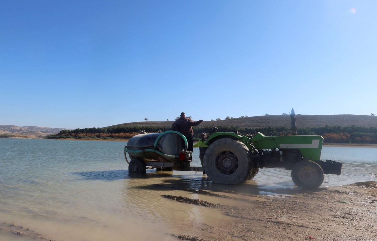 تونس