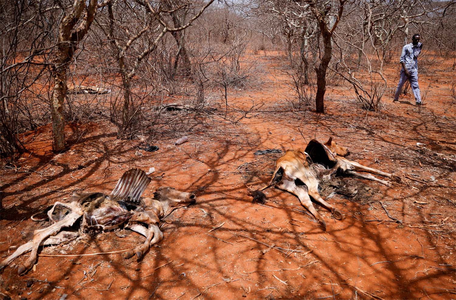 African countries are increasingly exposed to the impact of extreme weather linked to climate change