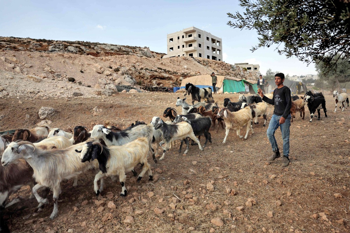 البدو لم يندمجوا ضمن المجتمع الاسرائيلي