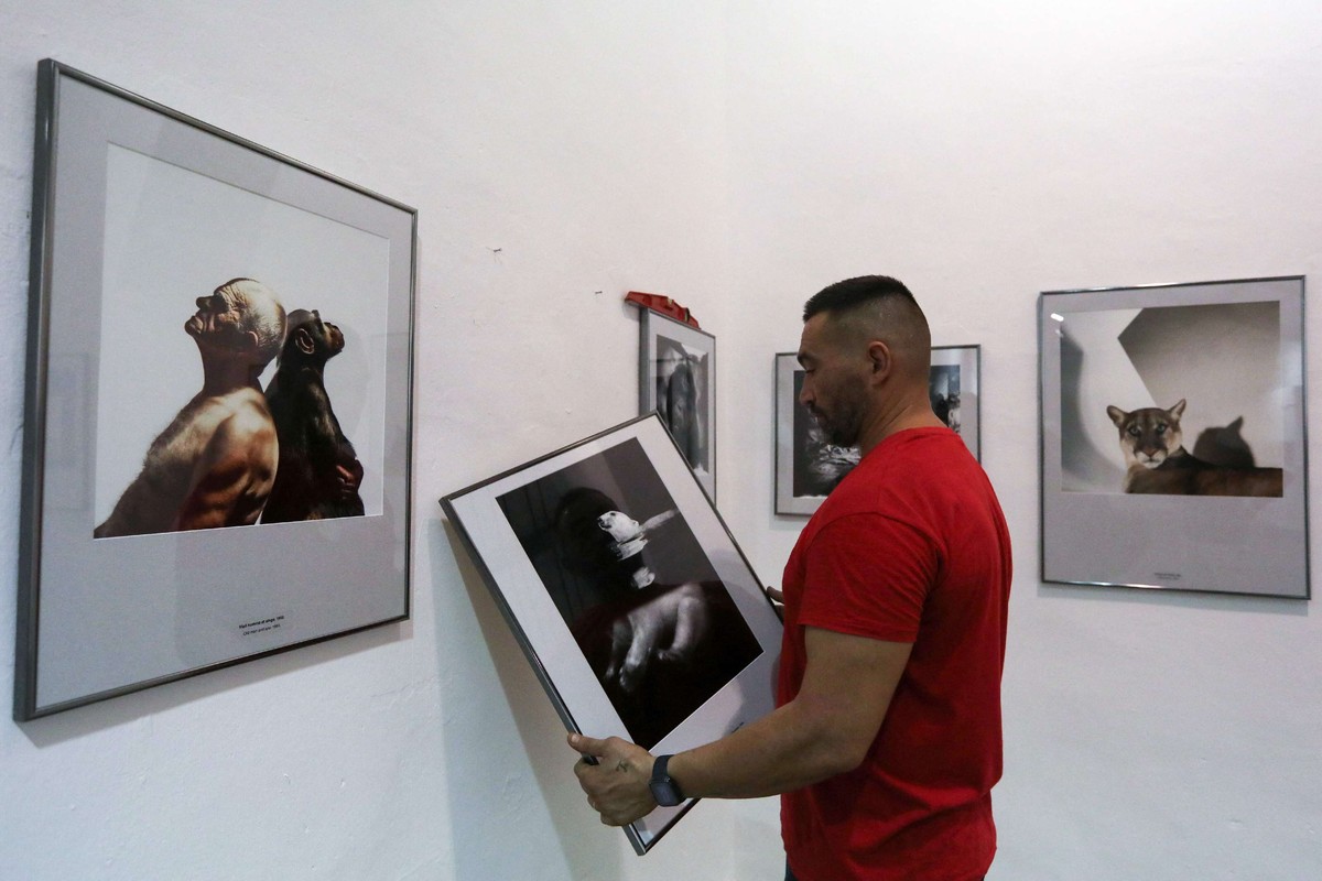 'حقبة التأثير البشري' 