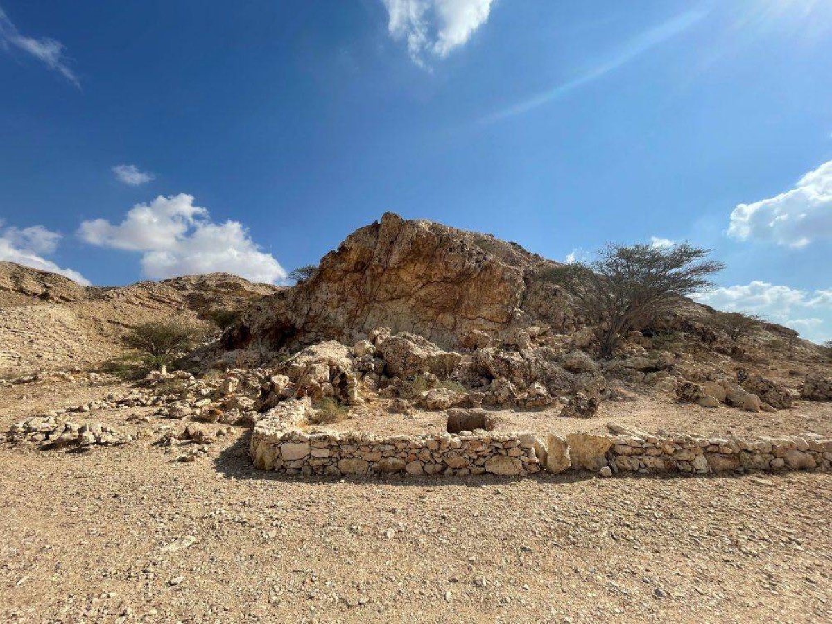 الفاية