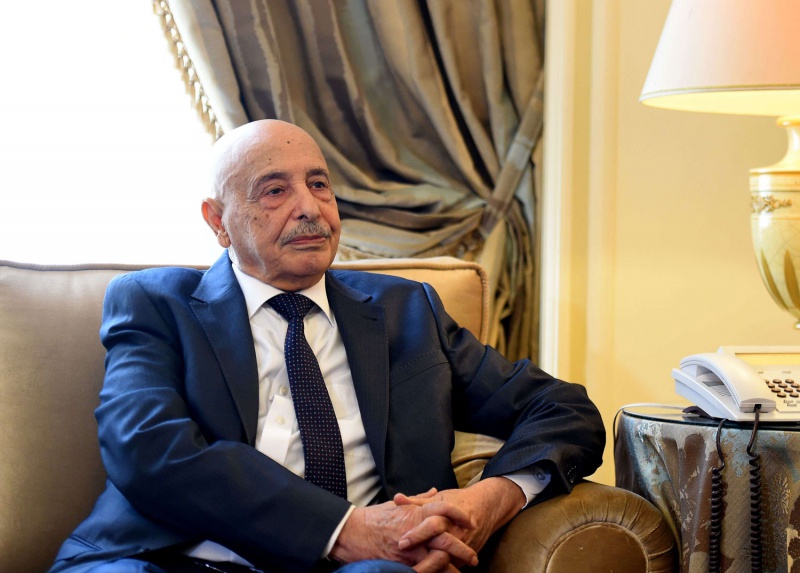 خطوات عقيلة صالح والمشري لا تحظى بدعم أممي