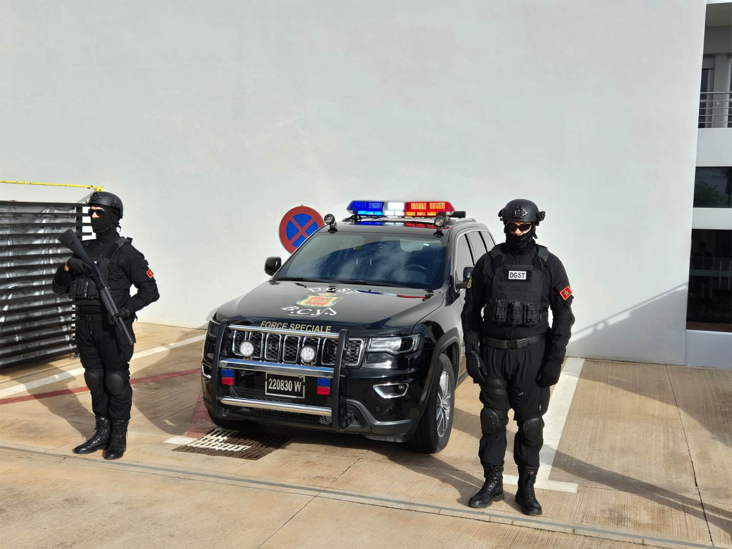 DGST forces