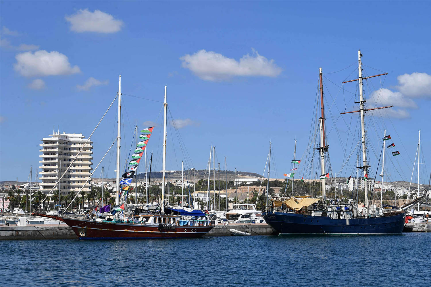 The drones had dropped stun grenades on the flotilla