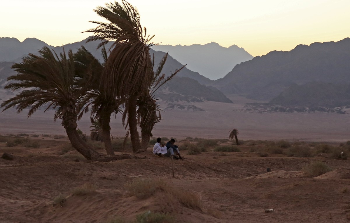 رحلة