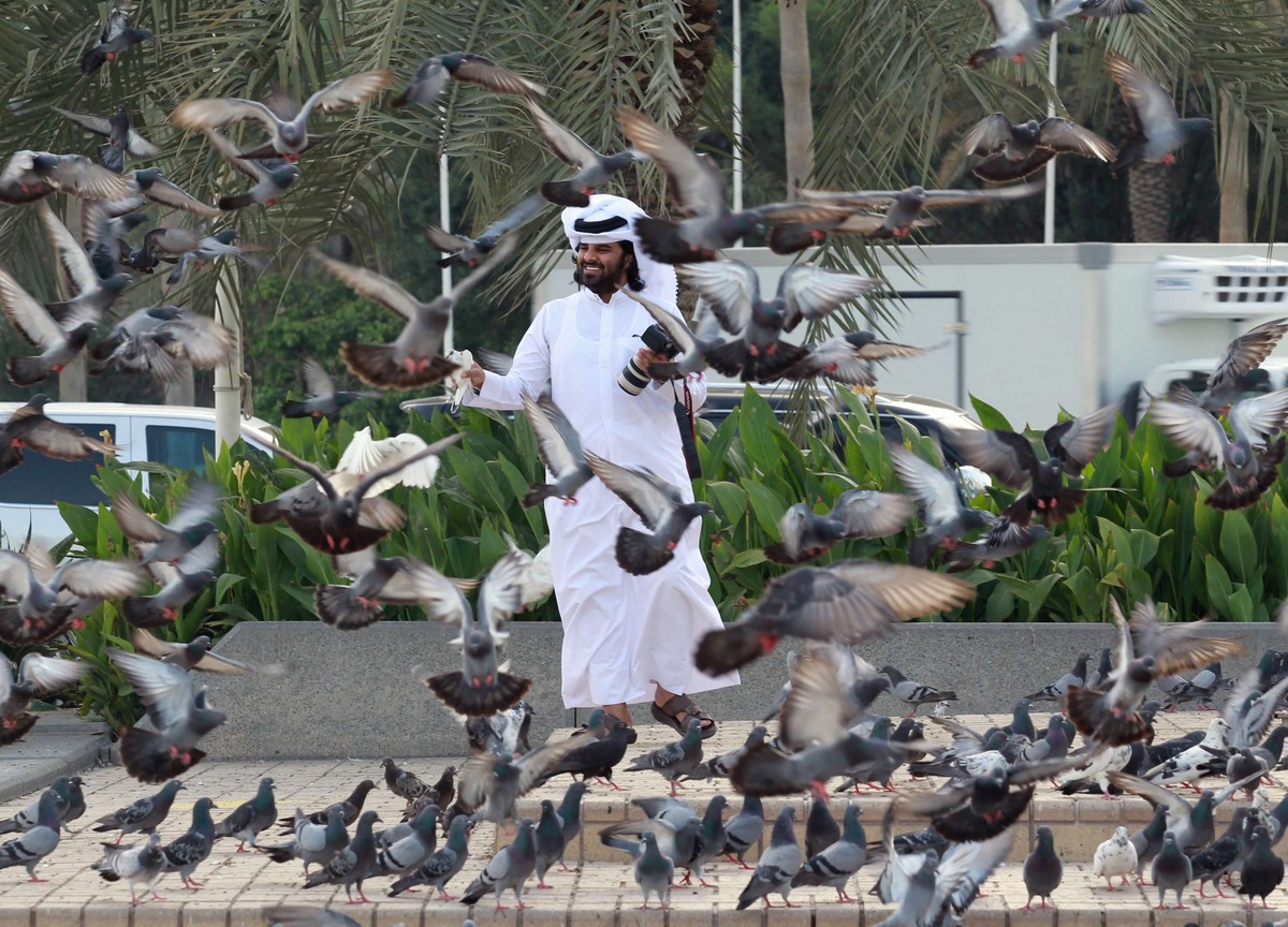 الحمام الزاجل